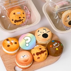 Squishy Cookie Random Keychain