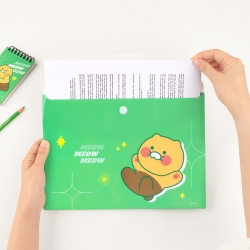 Kakao Friends Vivid Envelope Folder