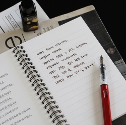 Classical wisdom Transcription Notebook - Letters to a young poet