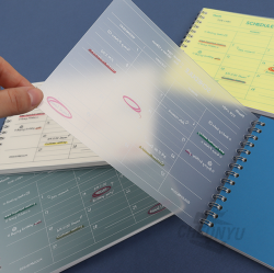 Monthly Scheduler B6, Random