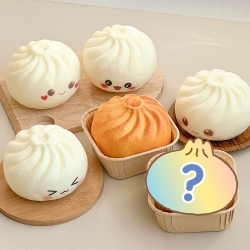 Find the Fried Dumpling Random Squishy