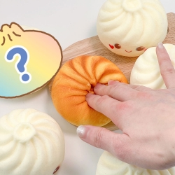 Find the Fried Dumpling Random Squishy