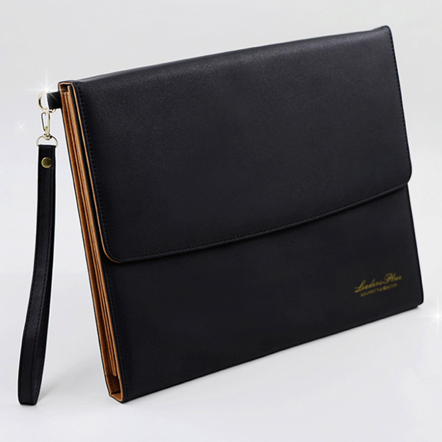 Leaders Plus 5-Section Document File