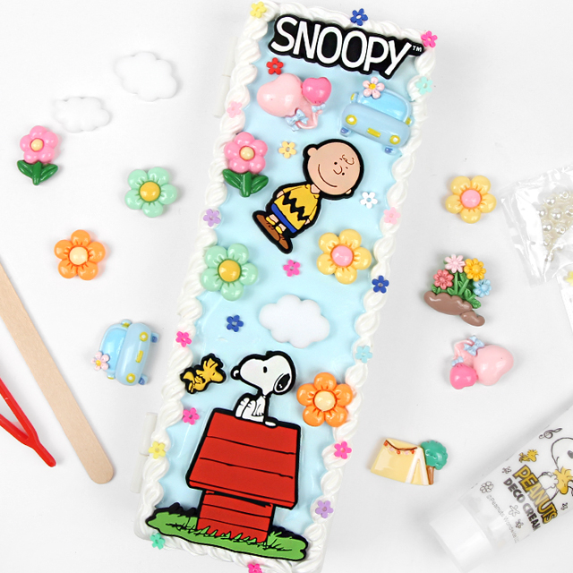 SNOOPY MULTI CASE DECO SET