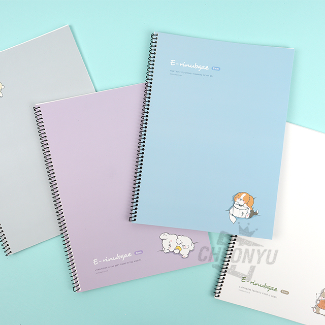 E-rinubgae Spring Notebook, Set of 5, Random