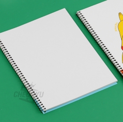 Pokémon Notebook, Random