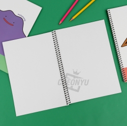 Pokémon Notebook, Random