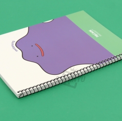 Pokémon Notebook, Random