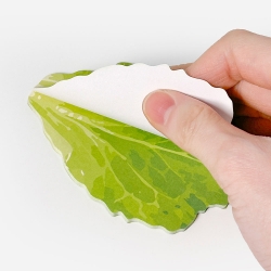 Luxury Pork Belly Ssam Vegetable Set, Random