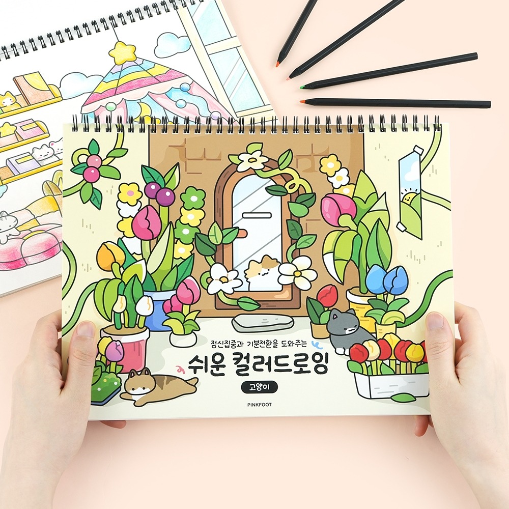 Cat Color Drawing (Easy Version)