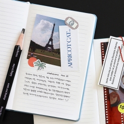 PRISM 220 LINE BAND NOTE