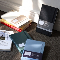 PRISM 220 LINE BAND NOTE