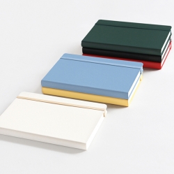 PRISM 220 LINE BAND NOTE