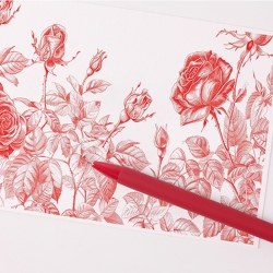 Gel Pen Rose