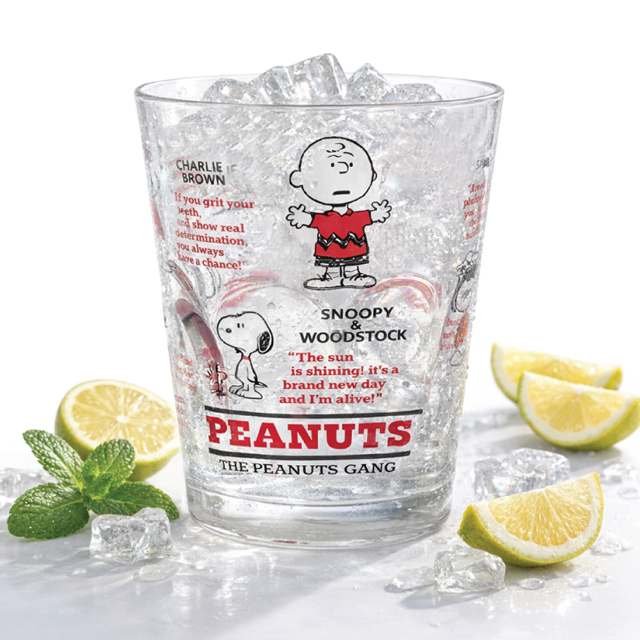 Peanuts Friends Acrylic Cup 280ml