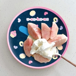 Usahana Melamine Plate 20cm