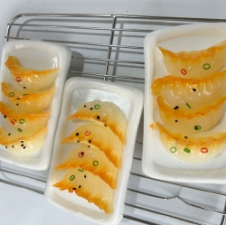 Fried Dumpling Squishy