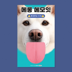 Jindo dog Melong Memo-it M