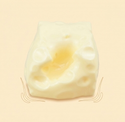 Real Giant Cheese Squishy