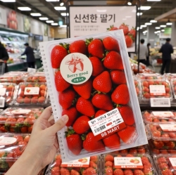 Mart Spring Note Strawberry Cornell Notebook B5