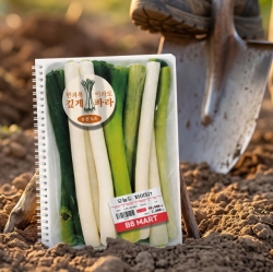 Mart Spring Note Scallion Lined Notebook B5