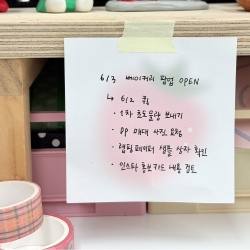 Check & Fruits Meow Memo Pad