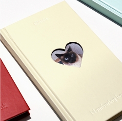 ciento numbering book