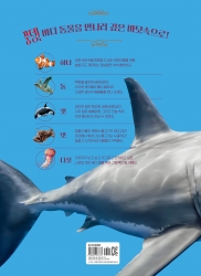 A Big Picture Book Sea Animals