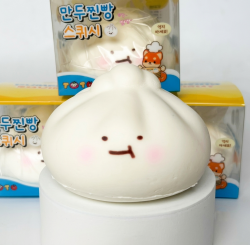 Dumpling Steamed Bun Squishy