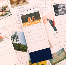 2027 Mind Snap Slot Desk Calendar