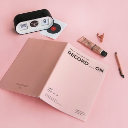 2027 RECORD ON DIARY Monthly A4