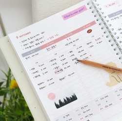 2027 The temperature of the day Cash Book