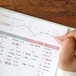 2027 The temperature of the day Cash Book