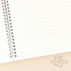 How to Study Notebook, Set of 5pcs, Random