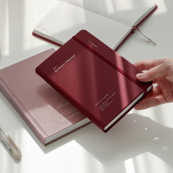 2027 Brilliant Daily Planner Diary