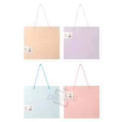 Paper Shopping Bag Simple
