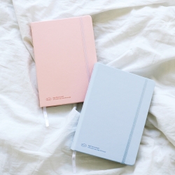 2027 Matte book daily diary