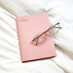 2027 project diary